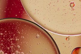 Bubbles and bubbles by Marjolijn van den Berg