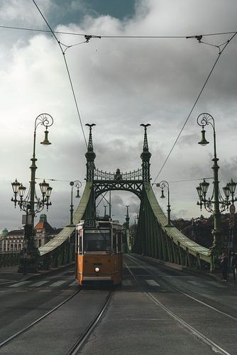 Vrijheidsbrug in Boedapest