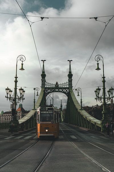Freedom Bridge in Budapest by Endre Lommatzsch