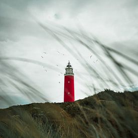 Lighthouse Texel by Bas Leroy