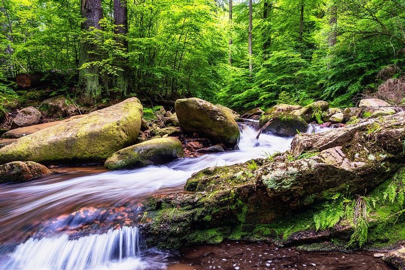 Ilsenburg brook by Tim Lee Williams