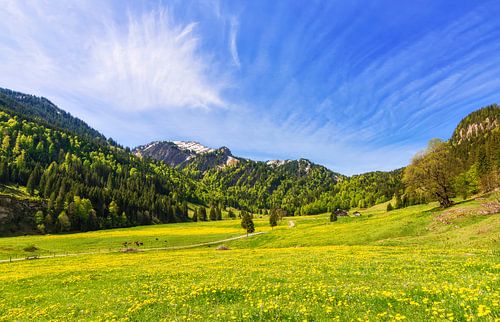 Lente in het Gunzesrieder dal