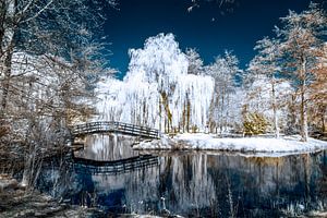 Park Buitenoord in Barendrecht