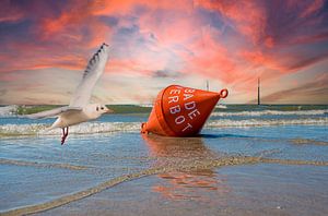 Boei met zeemeeuw Noordzeestrand van Animaflora PicsStock