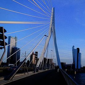 Rotterdam bridge von David Van der Cruyssen