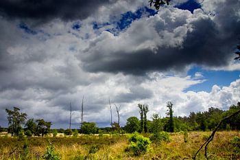 Sombre & humide ; clair