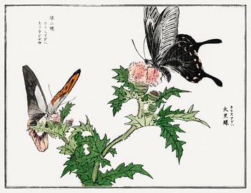 Morimoto Toko - Schmetterlinge auf einem Zweig von Creativity Building