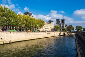 Blick auf die Kathedrale Notre-Dame in Paris, Frankreich von Rico Ködder