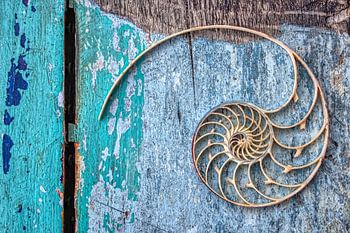 Das unsichtbare Ufer