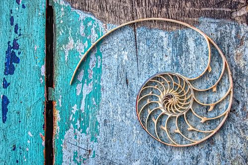 Das unsichtbare Ufer