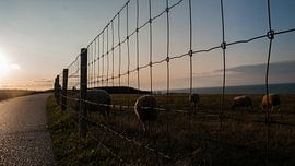 Nature 005 van RiBi Photography