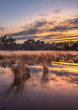 Sunrise met dramatische wolken weerspiegeld in een rustige wetland