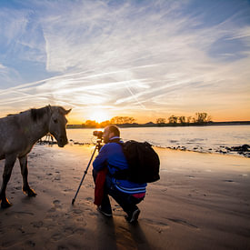 Sander Grefte profielfoto