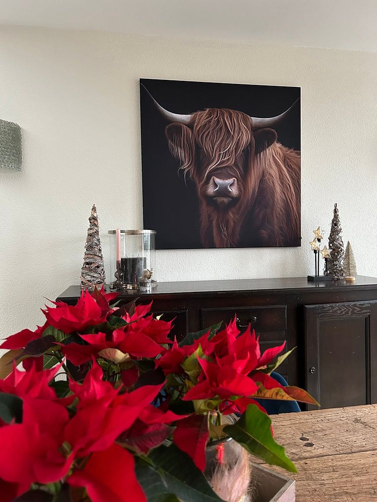 Schottischer Highlander rotbraun  von Bianca ter Riet 