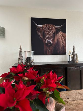 Highlander écossais brun rougeâtre