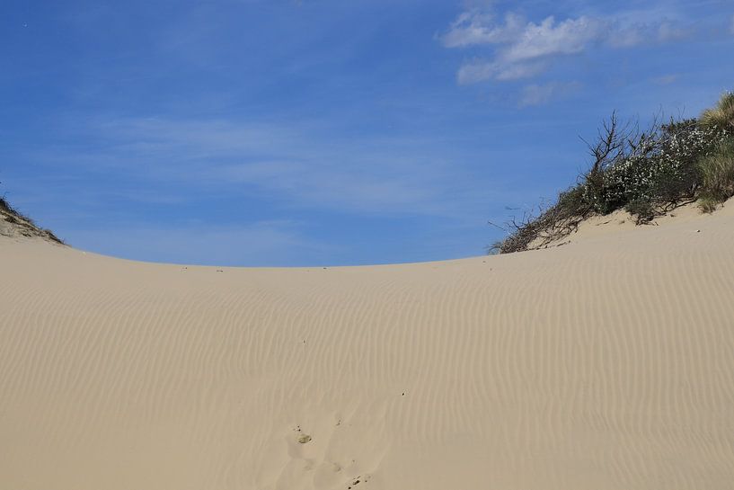 Dune by Dick Schouten