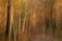 Herbststimmung