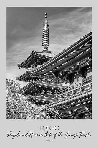 In de schijnwerpers: de TOKIO-pagode en de Hozomon-poort van de Senso-ji-tempel van Melanie Viola