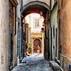 Walking The Dog In Cortona by Dorothy Berry-Lound