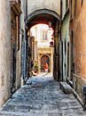 De hond uitlaten in Cortona van Dorothy Berry-Lound thumbnail