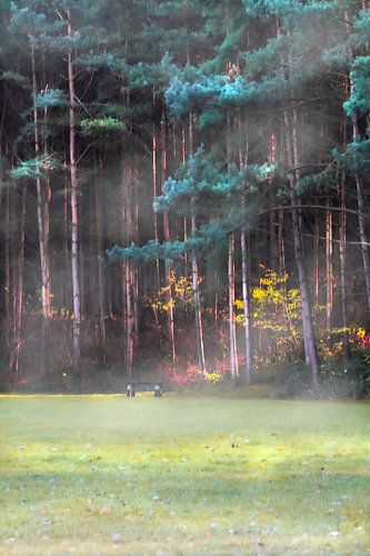 Ochtend Mist Kust de  Zon