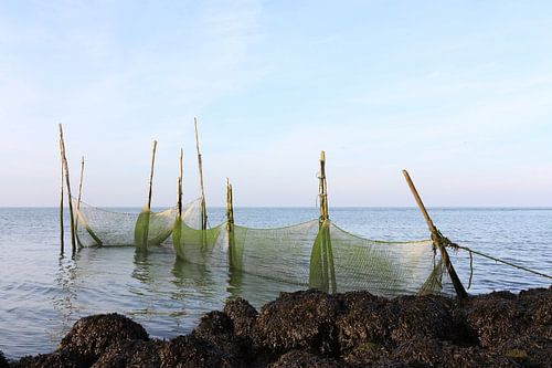 Fishing nets in the sea