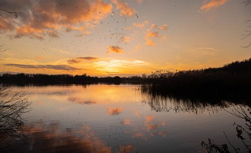 zonsondergang aan donkvijver