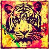 Tiger - Splash Pop Art PUR - 3 Colours - Part 1 von Felix von Altersheim