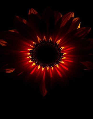 Ember Sun IX