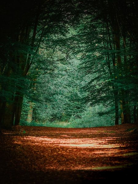 The first day of autumn by Bianca  Hinnen