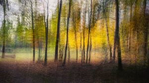 Herbstwald von Frans Nijland