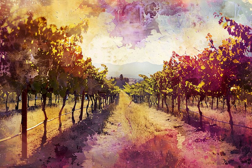 Abendlicht über den bunten Weinbergen von Art & Soul Creations