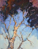 Birch Tree