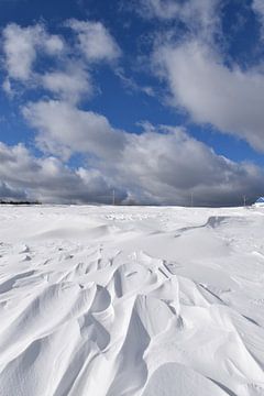 Het effect van wind op sneeuw in een veld van Claude Laprise