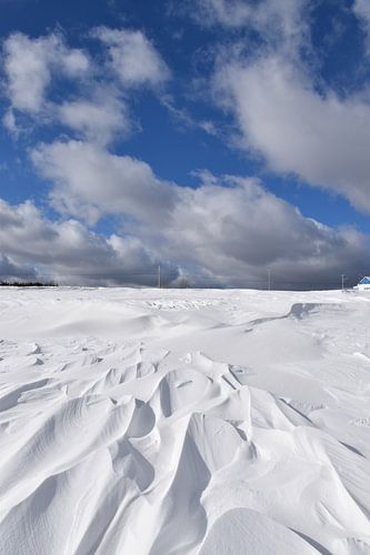Het effect van wind op sneeuw in een veld