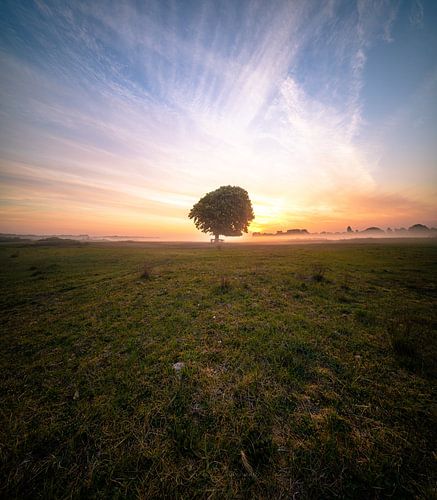 L'arbre