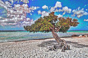 Divi Divi Baum am Eagle Beach in Aruba | Van Gogh Art