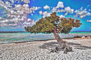 Divi Divi arbre à Eagle Beach à Aruba | Van Gogh Art sur Peter Balan