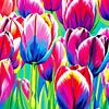Tulpen (01) met Levendige heldere kleuren van Hans Levendig (lev&dig fotografie)