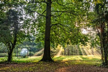 Sonnenstrahlen im Park von Michel Groen