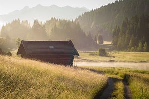 Sommermorgen im Karwendel