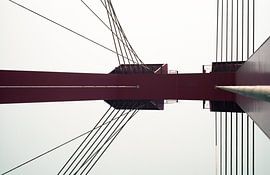 Willemsbrug in outline by Marc-Jan