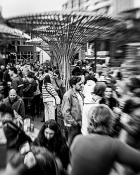 Eindhoven en gros plan