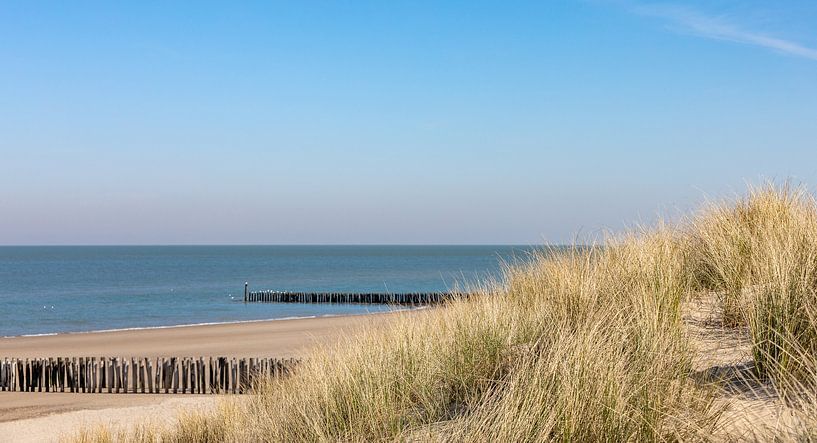 Beach with beach grass by Percy's fotografie
