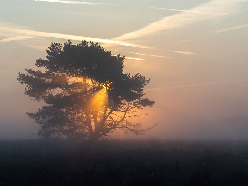 Cold sunrise by Hans de Cortie