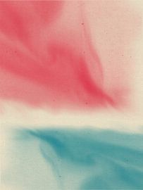 Colorful abstract in red and teal by Dina Dankers