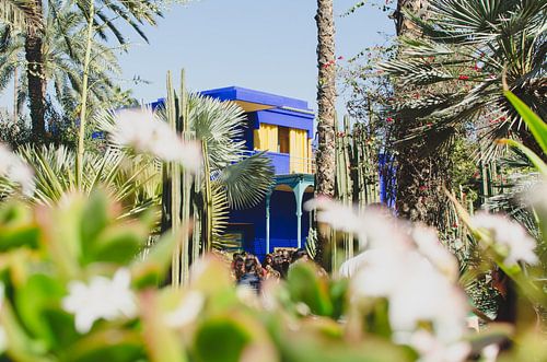 Majorell Garten Marrakech