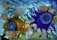 Sea life - Sealife