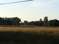 Mechels Broek