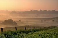 Vlaamse Ardennen